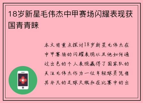 18岁新星毛伟杰中甲赛场闪耀表现获国青青睐